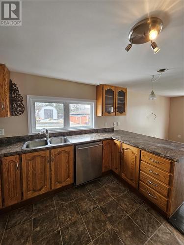 78 Back Track Road, Spaniards Bay, NL - Indoor Photo Showing Kitchen With Double Sink