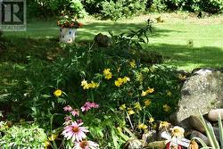 Beautiful flower beds throughout on the property. - 