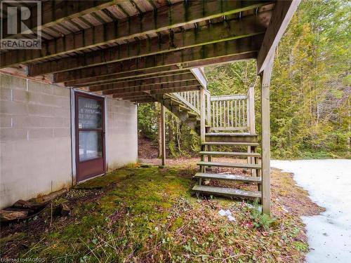 325 Rush Cove Road, Northern Bruce Peninsula, ON - Outdoor