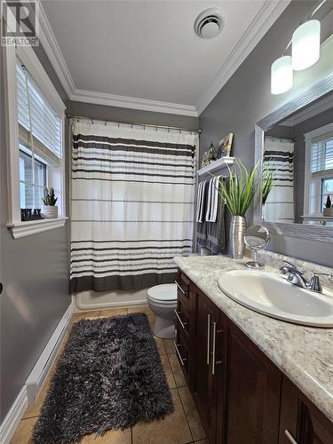 17 Sunset Boulevard, Massey Drive, NL - Indoor Photo Showing Bathroom