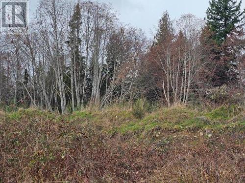 Lot 0 Fernwood Ave, Powell River, BC 