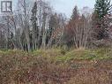 Lot 0 Fernwood Ave, Powell River, BC 