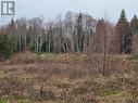 Lot 0 Fernwood Ave, Powell River, BC 