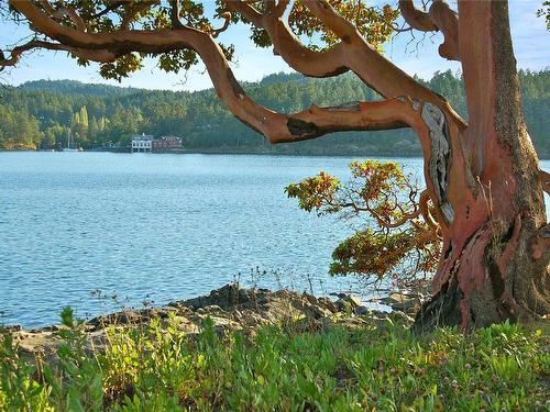 0 Fane Island, Gulf Islands, BC 