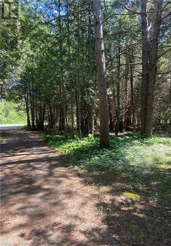 Private laneway - 17 Little Cove Road, Tobermory, ON 