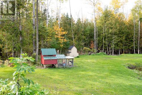 1031 Lawson Road, Tiny, ON - Outdoor