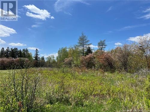 2.2 Acres Moorefield Road, Miramichi, NB 