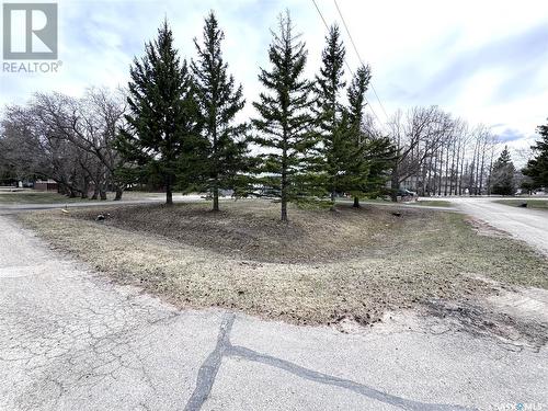 204 3Rd Avenue Sw, Leroy, SK - Outdoor With View