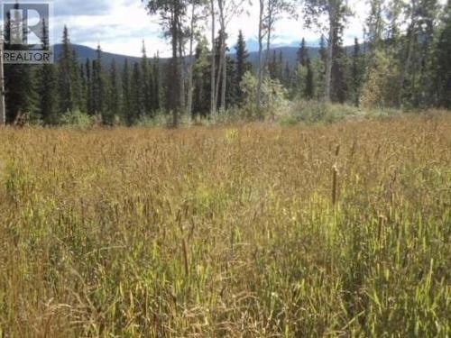 Lot 1075 Nisutlin Bay Yukon Estate, Teslin, YT 