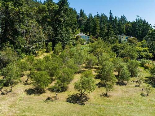 1309 Mackinnon Rd, Pender Island, BC - Outdoor With View