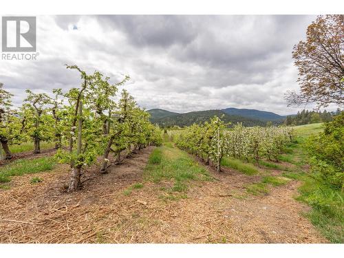 6008 Happy Valley Road, Summerland, BC - Outdoor With View
