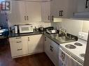 227 Regent Street, Sudbury, ON  - Indoor Photo Showing Kitchen With Double Sink 