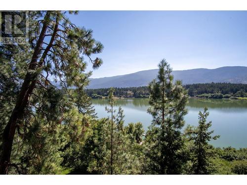 1401 Otter Lake Road, Spallumcheen, BC - Outdoor With Body Of Water With View