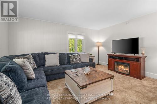 2643 Buckhorn Rd, Smith-Ennismore-Lakefield, ON - Indoor Photo Showing Living Room