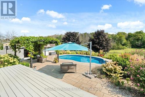 1169 Wilson Rd, Prince Edward County, ON - Outdoor With In Ground Pool With Deck Patio Veranda