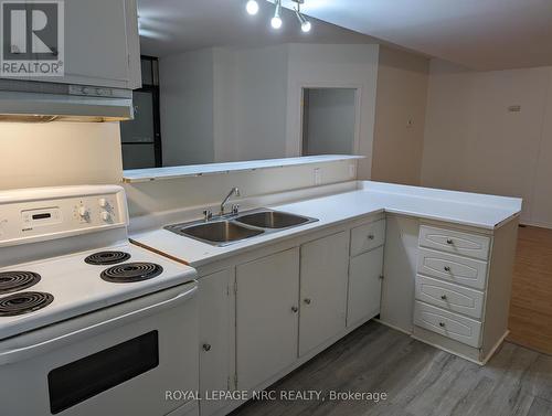 74-76 St Paul St E, St. Catharines, ON - Indoor Photo Showing Kitchen With Double Sink