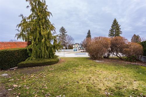 371 Francis Avenue, Kelowna, BC - Outdoor With View