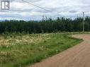 33 Rocky Mountain Road, Fort Nelson, BC 