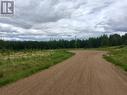 33 Rocky Mountain Road, Fort Nelson, BC 