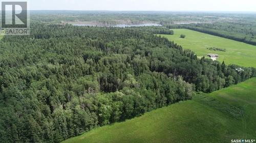Timberland Acreage, Spiritwood Rm No. 496, SK - Outdoor With View