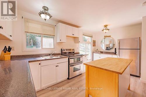 1279 Young'S Cove Road, Smith-Ennismore-Lakefield, ON - Indoor Photo Showing Kitchen With Double Sink