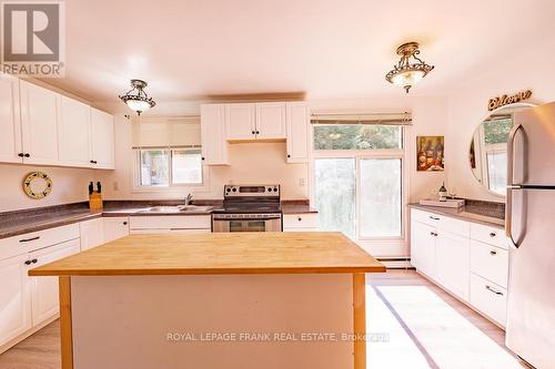 1279 Young'S Cove Rd, Smith-Ennismore-Lakefield, ON - Indoor Photo Showing Kitchen With Double Sink