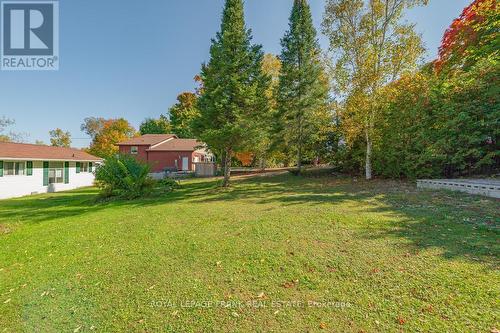 1279 Young'S Cove Road, Smith-Ennismore-Lakefield, ON - Outdoor