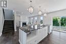 245 Charles, Essex, ON  - Indoor Photo Showing Kitchen With Upgraded Kitchen 