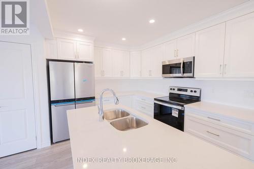 5 - 29 Schuyler Street, Brant, ON - Indoor Photo Showing Kitchen With Double Sink With Upgraded Kitchen