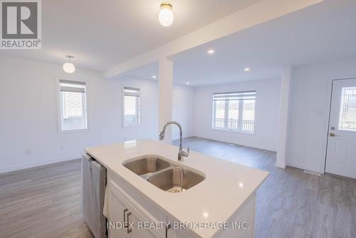 5 - 29 Schuyler Street, Brant, ON - Indoor Photo Showing Kitchen With Double Sink