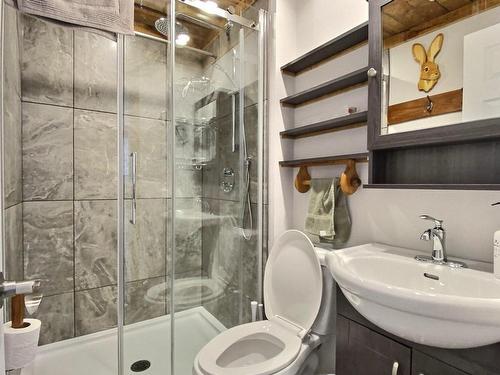 Salle de bains - 227  - 232 Ch. Du Lac-Bolduc N., Adstock, QC - Indoor Photo Showing Bathroom