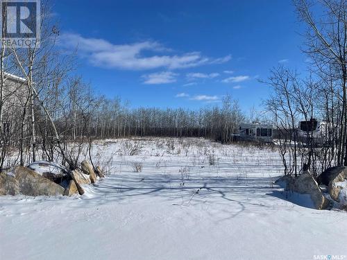 608 Willow Point Way, St. Brieux, SK 