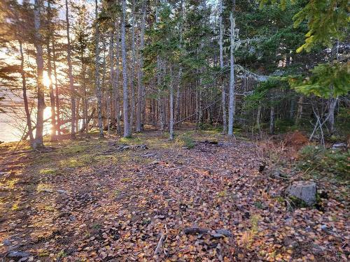 Red Point Road, Red Point, NS 