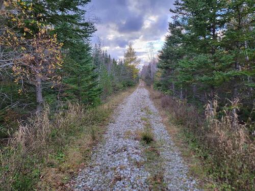 Red Point Road, Red Point, NS 