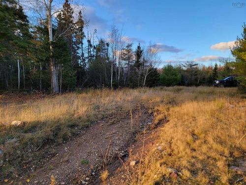 Red Point Road, Red Point, NS 