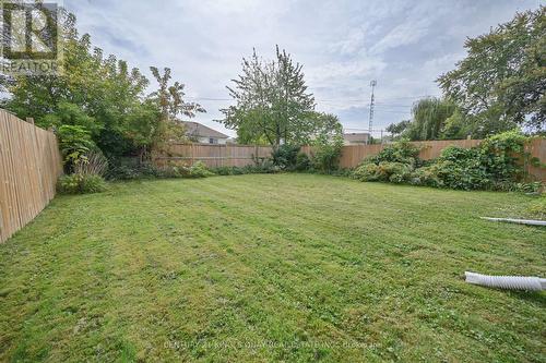 Lower - 386 Welland Avenue, St. Catharines, ON - Outdoor With Backyard