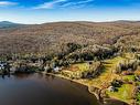 Aerial photo - Ch. Du Père-Roy, Saint-Herménégilde, QC 