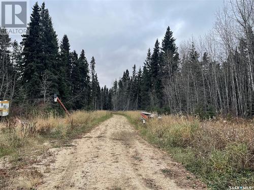 Makwa Acreage, Makwa, SK - Outdoor With View