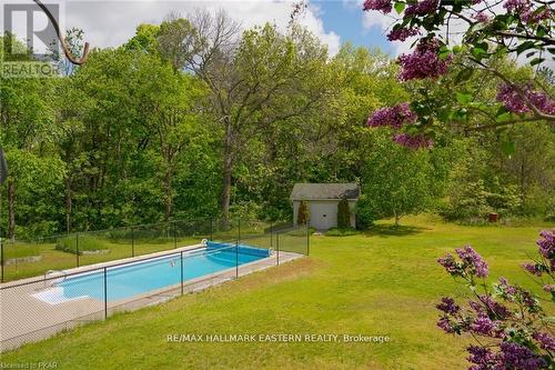 295 Clarkson Road, Cramahe, ON - Outdoor With In Ground Pool With Backyard