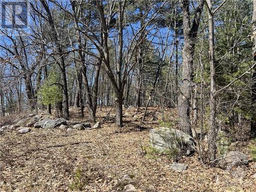 High treed portion of lot - 2340B Round Lake Road, Round Lake Centre, ON 