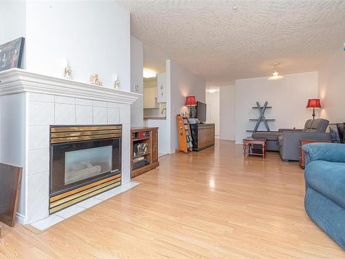 114-535 Manchester Rd, Victoria, BC - Indoor Photo Showing Living Room With Fireplace