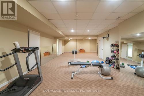 13 Connor Crt, Hamilton, ON - Indoor Photo Showing Gym Room