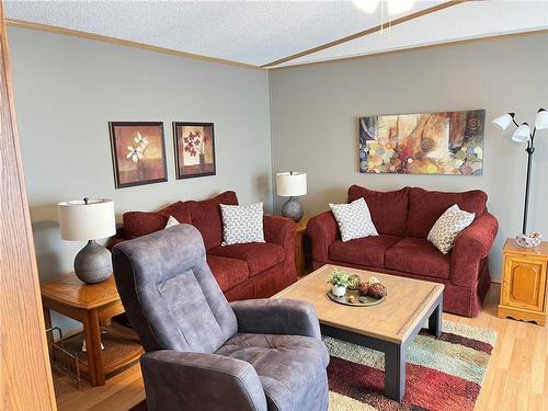103 Goldfinch Crescent, Brandon, MB - Indoor Photo Showing Living Room