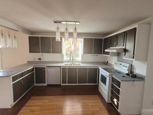 Cuisine - 581  - 583 Boul. Lacombe, Repentigny (Le Gardeur), QC - Indoor Photo Showing Kitchen With Double Sink