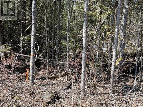 Lot 12-Con10 Barryvale Road, Calabogie, ON 