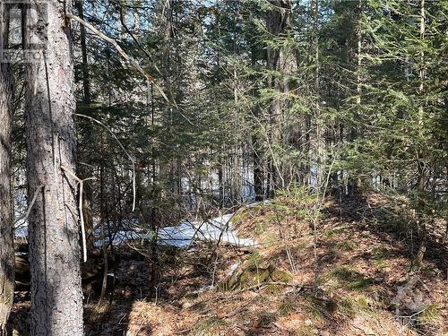 Lot 12-Con10 Barryvale Road, Calabogie, ON 