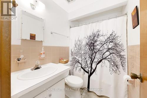 25 Haggert Ave S, Brampton, ON - Indoor Photo Showing Bathroom