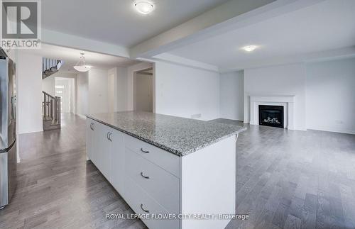 51 William Nador St, Kitchener, ON - Indoor Photo Showing Kitchen With Fireplace