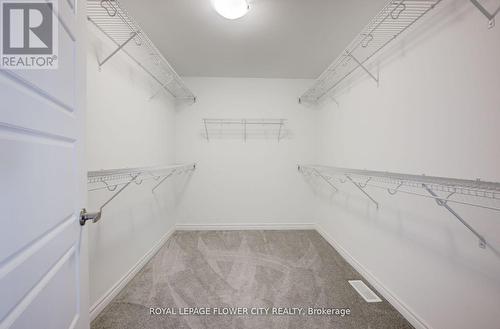 51 William Nador St, Kitchener, ON - Indoor With Storage