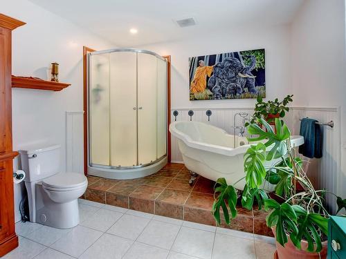 Salle de bains - 41 Ch. Du Bouton-D'Or, Sainte-Anne-Des-Lacs, QC - Indoor Photo Showing Bathroom